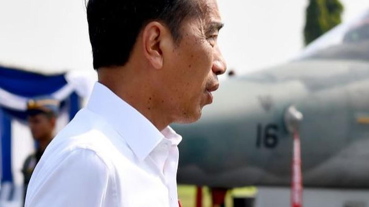 Terima Banyak Keluhan dari Investor soal Kecepatan Investasi di IKN, Ini Arahan Jokowi ke Para Menteri