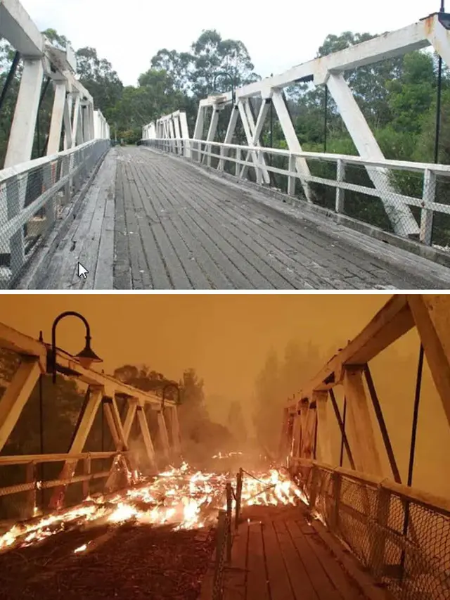 kebakaran hutan australia