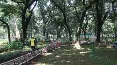 Seorang petugas melintasi taman sisi barat Monas, Jakarta Pusat, Rabu (28/3). Taman yang berkonsep garden party ini akan dilengkapi dengan lampu-lampu yang menghiasi pada malam hari dan jaringan WiFi bagi pengunjung taman. (Liputan6.com/Arya Manggala)