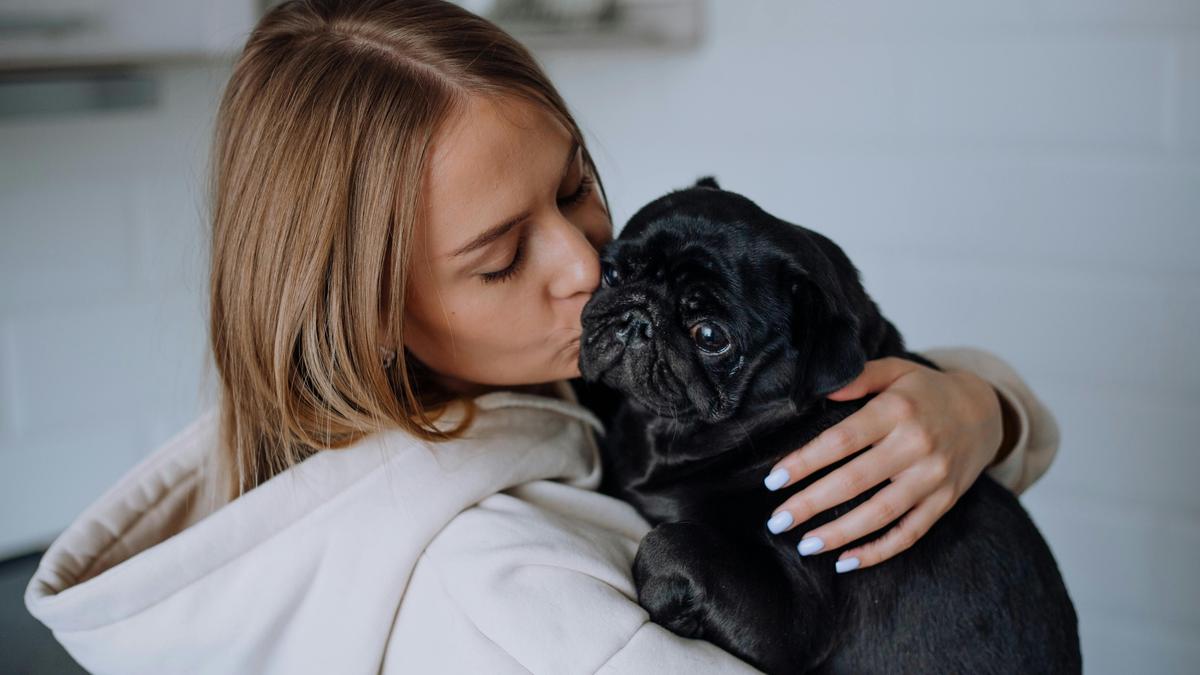 5 Manfaat dari Memelihara Anjing di Rumah untuk Kesehatan Fisik hingga Hubungan Sosial