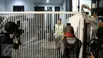 Polisi berjaga saat penyidik melakukan penggeledahan di rumah Saipul Jamil di Kelapa Gading, Jakarta, Kamis (19/2) dini hari. Penggeledahan dilakukan untuk mendapatkan alat bukti tambahan terkait kasus pencabulan terhadap DS. (Liputan6.com/Faizal Fanani)
