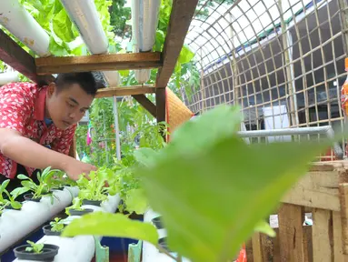 Seorang narapidana mengecek tanaman saat Festival Napi Berkebun (FNB) 2015 di Pasar Festival Gelanggang Olahraga Soemantri Brodjonegoro, Kuningan, Jakarta Selatan, Jumat, (18/12/15). (Liputan6.com/Faisal R Syam)