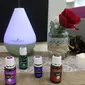 Kabar gembira bagi Anda yang sangat mencintai essential oil, kini Young Living telah resmi hadir di Indonesia.