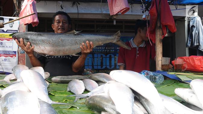 Foto Jelang Imlek Penjaja Ikan Bandeng Menjamur Di Rawa Belong