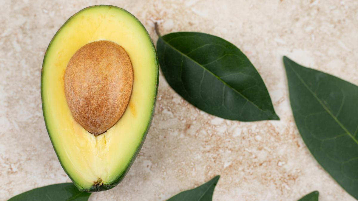 Resep Seduhan Daun Alpukat, Mampu Turunkan Kolesterol dan Darah Tinggi?