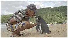 Joao menyelamatkan sang penguin saat masih kecil di air laut yang terkontaminasi limbah minyak.