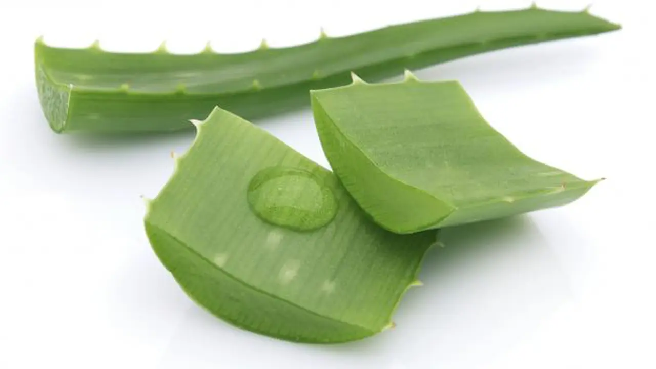 Top 5 Lifestyle: Kesaktian Lidah Buaya untuk Kecantikan