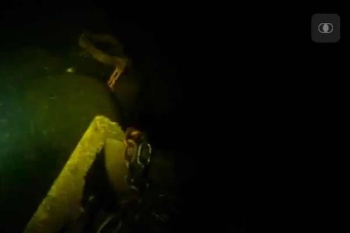 Seramnya Video Ini Bikin Kamu Kapok Menyelam di Laut!