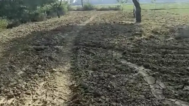 Preman Mencuri Jalan