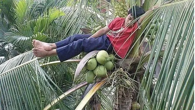 Potret Saat Rebahan di Sembarang Tempat ini Bikin Geleng Geleng