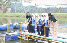 Menjelajah di Kampung Saungkuriang, Ajak Anak-anak Mengenal Alam dengan Seru di Tengah Kota Tangerang