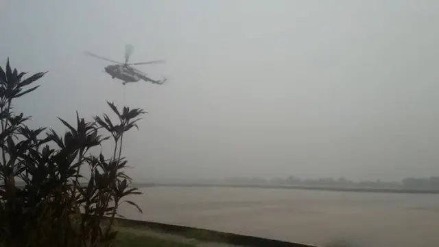 Kebakaran Hutan