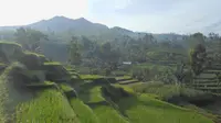 Gunung Rakutak di Sukabumi. (Dok: Gunung Bagging)
