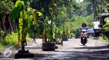 Pengendara motor melintasi jalan Desa Glagahsari, Cangkringan Sleman yang di tanami sejumlah pohon, (23/2). Aksi penanaman pohon sebagai bentuk protes atas rusaknya jalan yang belum diperbaiki sejak 5 tahun letusan Merapi. (Liputan6.com/Boy Harjanto)