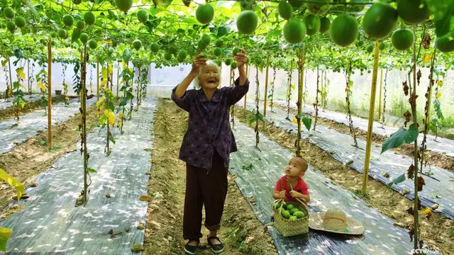 [Bintang] Nenek Kuat