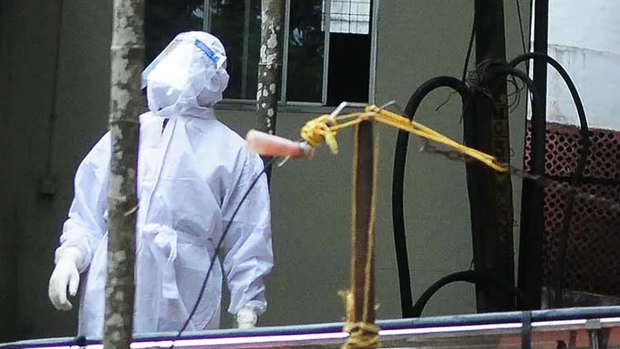 Kemenkes Sebut Virus Nipah Bisa Masuk Indonesia, Ini Alasannya