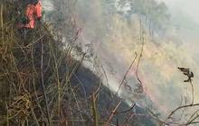 Kebakaran Bromo Kian Mengkhawatirkan, Api Mulai Masuk Wilayah Malang