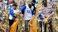Bulog Bakal Beli Jagung Lokal Rp 5.500 per Kilogram Mulai Akhir Juni 2025