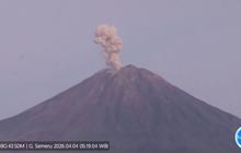 Gunung Semeru Erupsi Sembilan Kali, Kolom Abu Capai 1.000 Meter di Atas Puncak