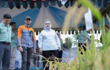 Kemenko Pangan Harap Kolaka Jadi Lumbung Pangan Sultra, Dukung Swasembada Beras Nasional