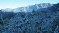 Fenomena embun es di Gunung Bromo. (Liputan6.com/Dian Kurniawan)