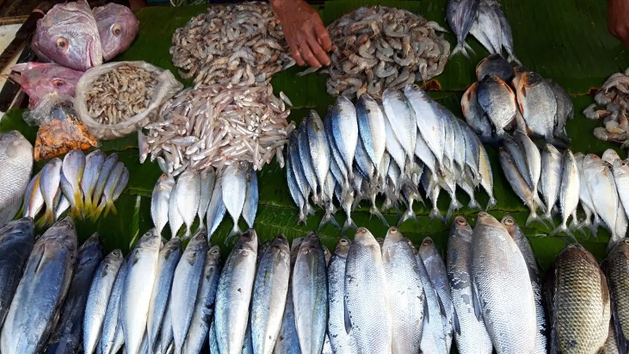 Ikan