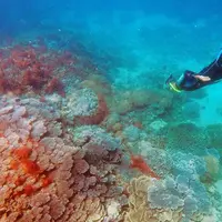 Mengintip indahnya pesona tersembunyi di Minahasa Tenggara, Sulawesi Utara.
