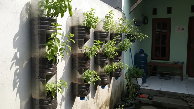 9 Ide Kebun Dinding dari Galon Air Mineral Bekas, Solusi Hijau Lahan Sempit
