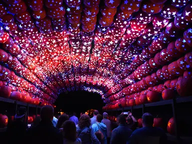 Buah-buah labu yang disinari cahaya dipajang pada pameran Great Jack O'Lantern Blaze di Van Cortlandt Manor, New York, Sabtu (14/10). Lebih dari 7.000 lentera labu yang diukir tangan ditampilkan dalam pameran Halloween tahunan ini. (TIMOTHY A. CLARY/AFP)