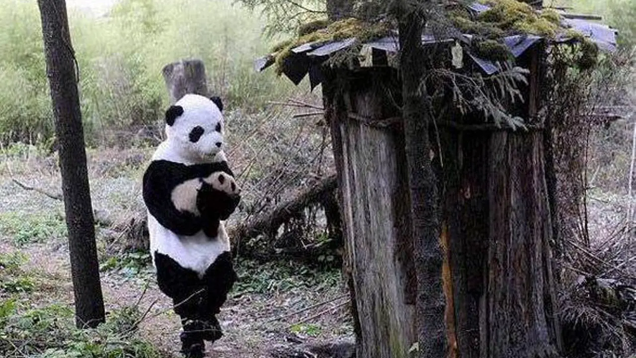 Nyamar Jadi Panda, Penjaga Satwa Ini Bikin Kamu Gemas