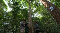 Apple dan WWF Indonesia Kolaborasi Jaga Bukit Tigapuluh di Sumatra, Begini Caranya