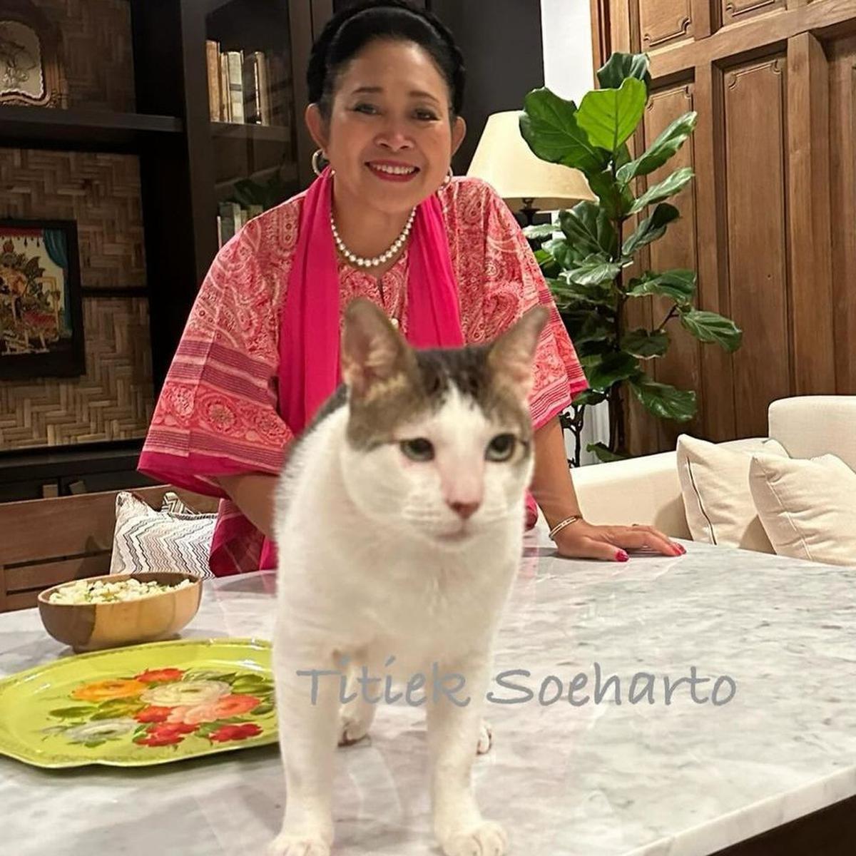 Genap Usia 65 Tahun, Intip Potret Transformasi Titiek Soeharto yang Masih Awet Muda