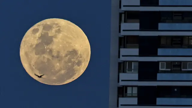 Keindahan Full Buck Supermoon Hiasi Langit di Berbagai Negara