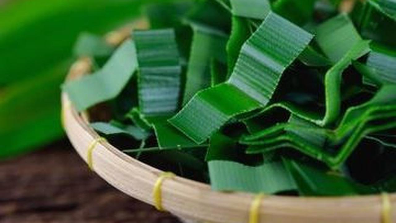 12. Daun Pandan