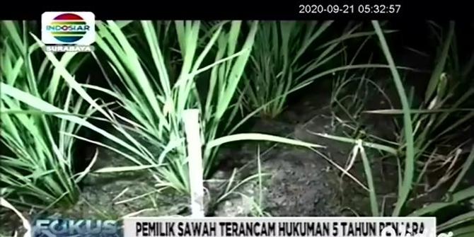 VIDEO: Pemotor Tewas Tersengat Listrik Jebakan Tikus