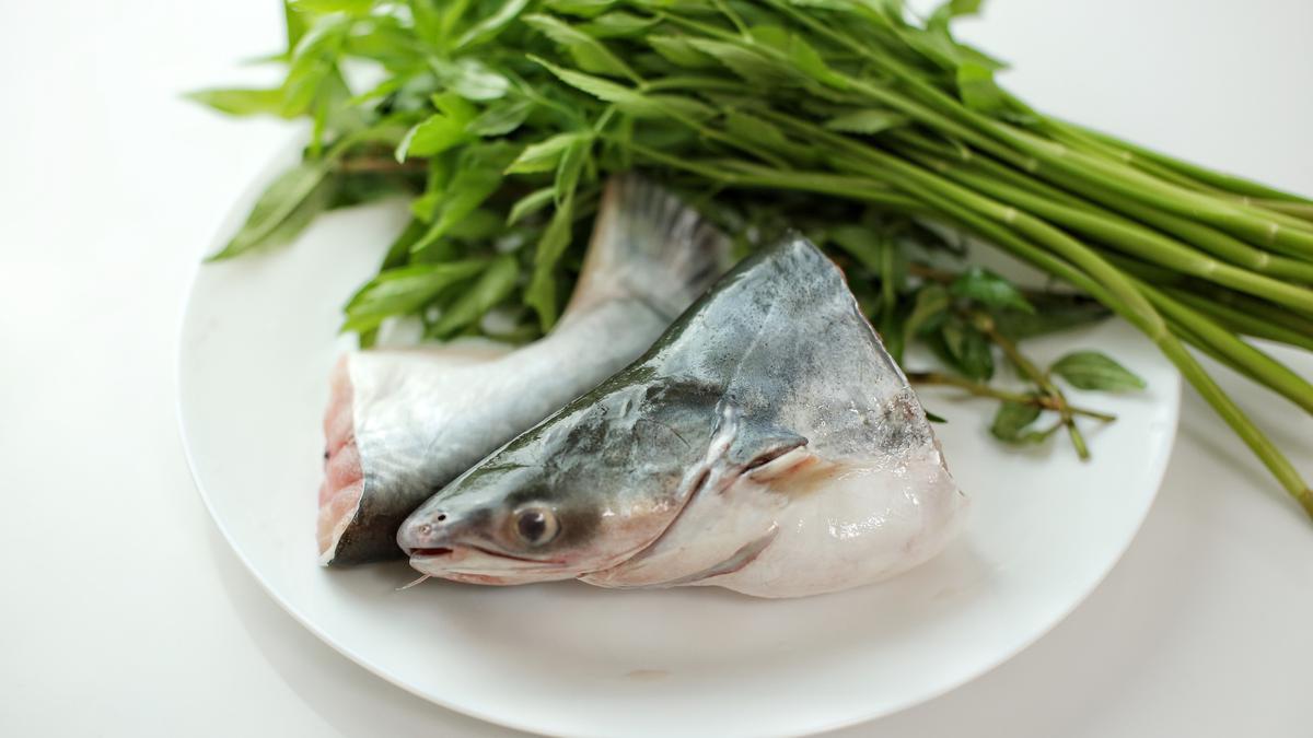 9 Ikan Lokal Terbaik untuk MPASI, Bantu Dukung Kecerdasan Si Kecil