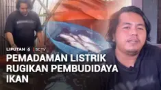 Pemadaman listrik selama hampir 6 jam di Kalimantan Selatan berdampak pada usaha budidaya ikan dengan sistem bioflok. Di Kabupaten Banjar, ratusan ikan nila mati karena aerator berhenti beroperasi saat listrik padam.