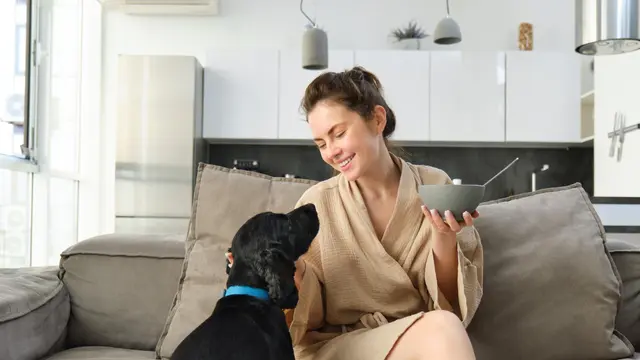 Dog