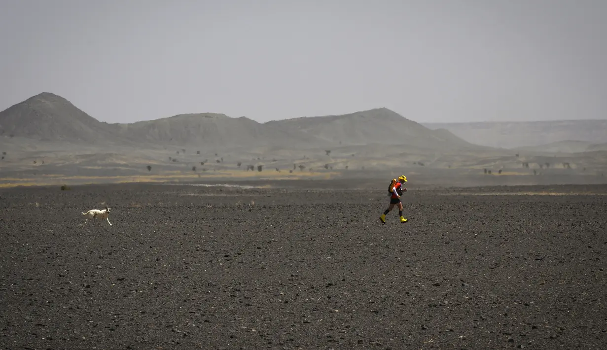 Seorang peserta menyusuri lahan bebatuan saat mengikuti lomba lari Marathon des Sables ke-34 tahap kedua di Gurun Sahara, Maroko, Senin (8/4). Selain harus berlari dalam jarak yang sangat jauh, peserta juga harus mengatasi iklim ekstrem Sahara. (JEAN-PHILIPPE KSIAZEK/AFP)