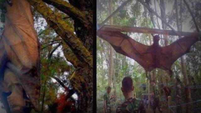 4 Suku Gaib di Indonesia (Foto:Youtube/Ytcrash)