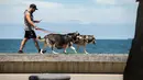Seorang pria berjoging bersama anjing-anjingnya di Pantai St Kilda di Melbourne, Australia, pada 9 Desember 2020. Kehidupan pantai kembali terlihat setelah Melbourne mengakhiri masa pemberlakuan lockdown COVID-19 pada November lalu, yang berlangsung selama hampir empat bulan. (Xinhua/Hu Jingchen)