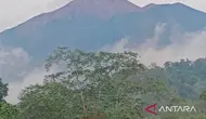 Jalur Pendakian Gunung Kerinci Dibuka Lagi, Begini Cara Beli Tiketnya