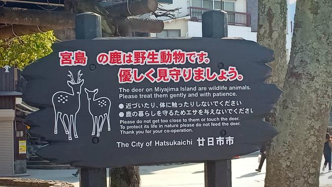 Larangan memberi makan rusa di kawasan Miyajima (Liputan6.com/ Mevi Linawati)