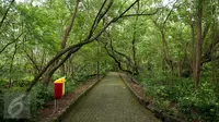 Suasana Hutan Kota Srengseng, Jakarta, (29/3). Kepala Bidang Kehutanan Dishutan DKI Jaja Suharja mengatakan, empat hutan kota yang akan dibangun sarana pendukungnya yakni, Hutan Kota Cipayung, Munjul, Ciracas, dan Cilincing. (Liputan6.com/Gempur M Surya)