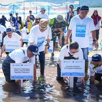 Kementerian Lingkungan Hidup Pulihkan Ekosistem Mangrove di NTB