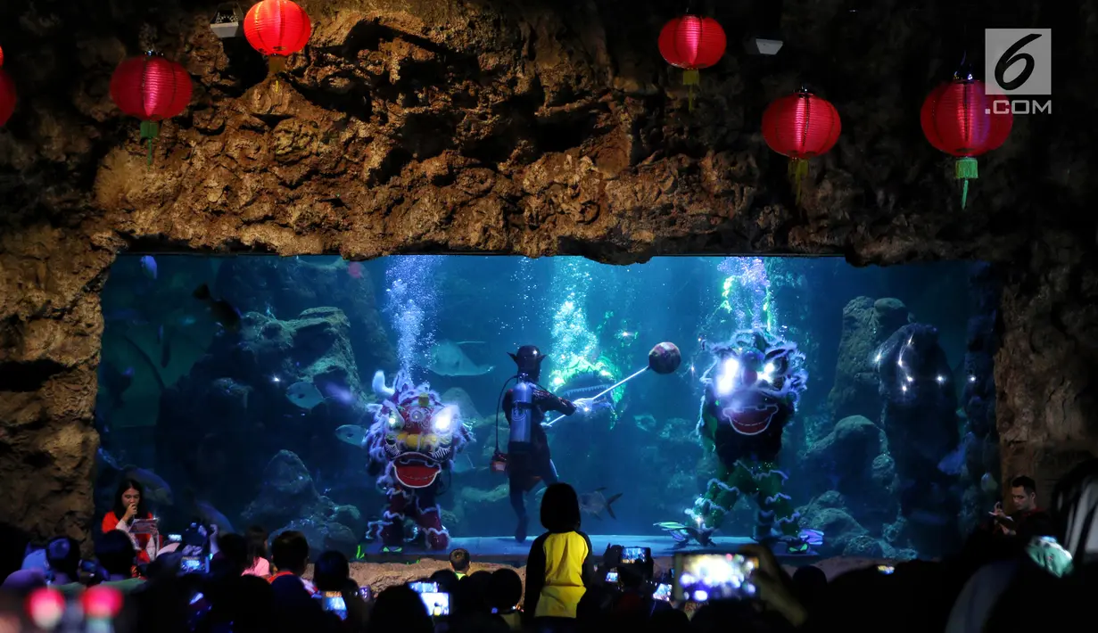 Pemain barongsai tampil di dalam air di Seaworld Ancol, Jakarta, Minggu (3/2). Pertunjukan dalam rangka memeriahkan Tahun Baru Imlek 2570 tersebut mengangkat tema "The Legend of 12 Shio" yang digelar hingga 5 Februari 2019. (Liputan6.com/Johan Tallo)