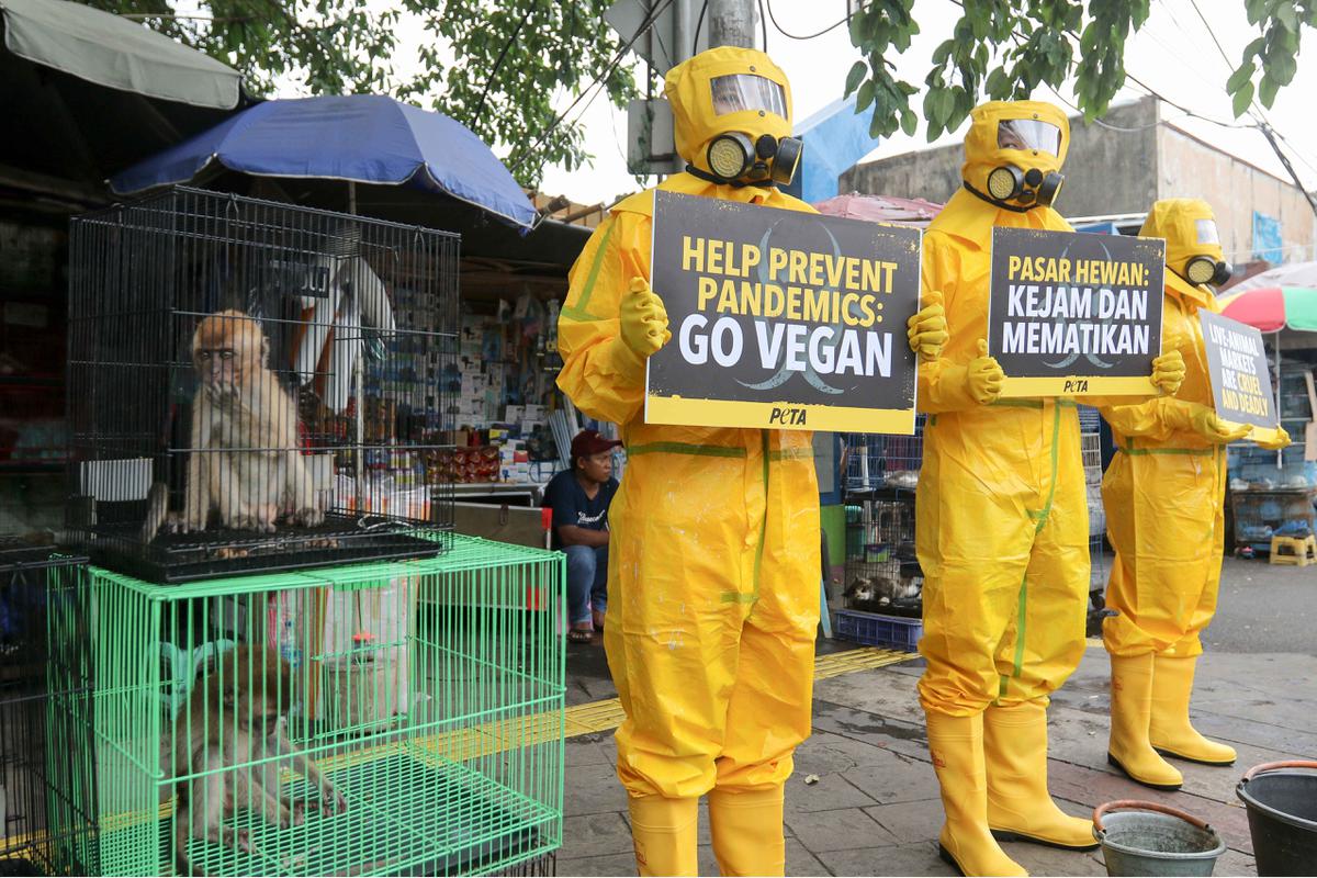 Aktivis PETA demo di Pasar Hewan Jatinegara