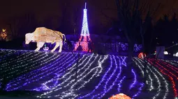 Seni instalasi cahaya lampu menghiasi sebuah taman di Minsk, Belarus (5/2). Setelah matahari terbenam empat puluh pameran seni instalasi lampu menghiasi seluruh taman di Belarus. (AP Photo/Sergei Grits)