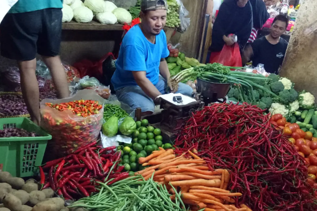 Pedagang Tomat