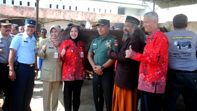 Sapi Jumbo seberat 1,1 ton jadi primadona swafoto pengunjung kontes ternak Purbalingga. (Foto: Liputan6.com/Dinkominfo/Muhamad Ridlo)